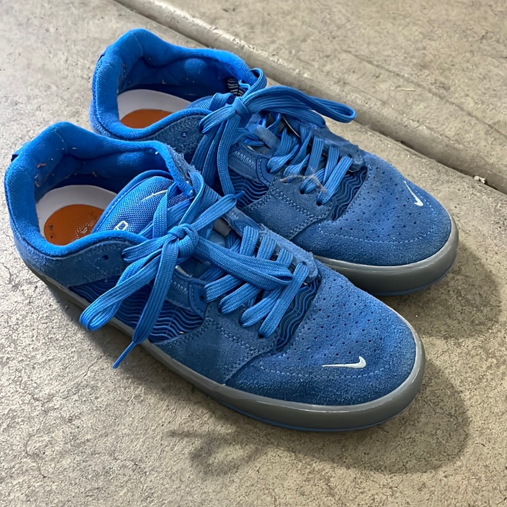 Nike ishod skate shoes